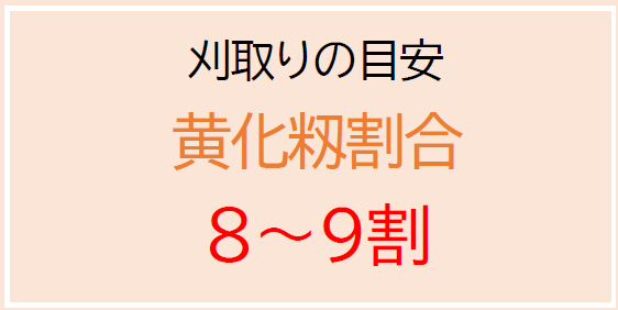 刈取りの目安