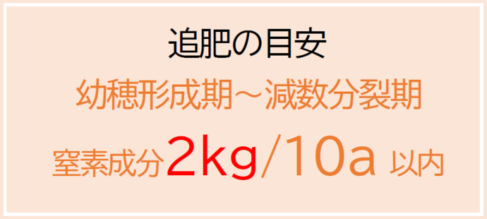 追肥の目安
