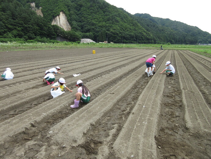 真剣に草とりをする子供たちの様子