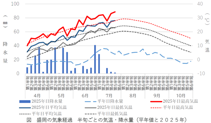 図　盛岡の気象経過　半旬ごとの気温・降水量（平年値と2025年）