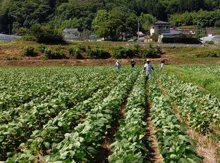 巡回確認の風景その2