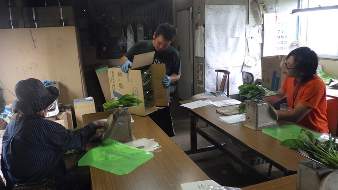 ほうれん草専門部副専門部長からお手本を示していただき、調製・袋詰め体験をスタートしました。