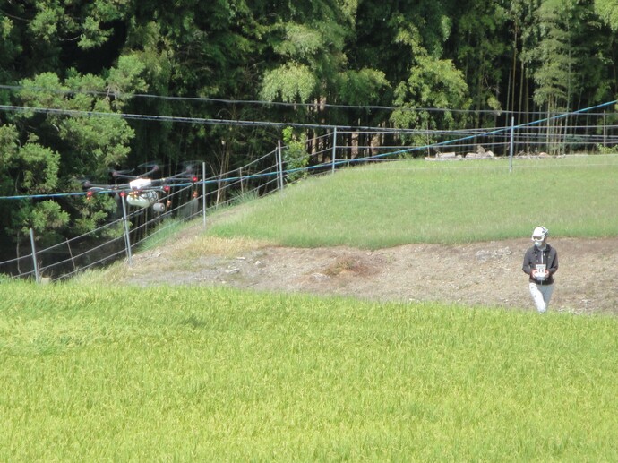 ドローンによる水稲害虫防除の見学　写真1