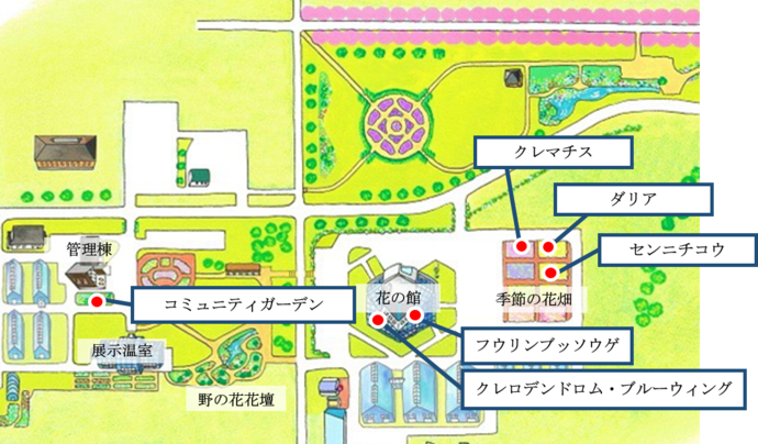 マップ