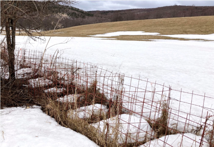 写真　早春、雪解けと同時に機能を発揮しているワイヤーメッシュ立体柵