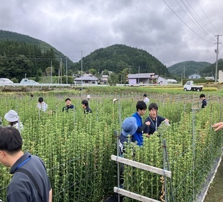 写真➀