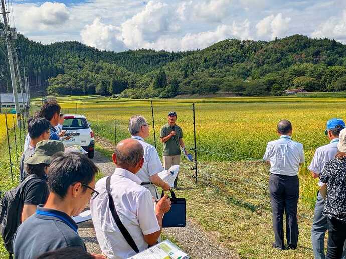 現地研修では水稲の自然栽培を視察