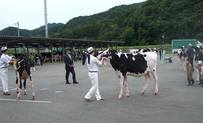 審査の様子