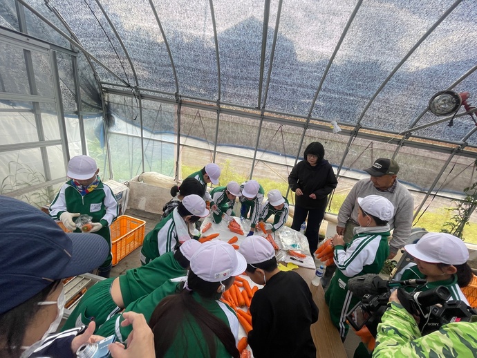 真剣に袋詰めをする児童たちの様子