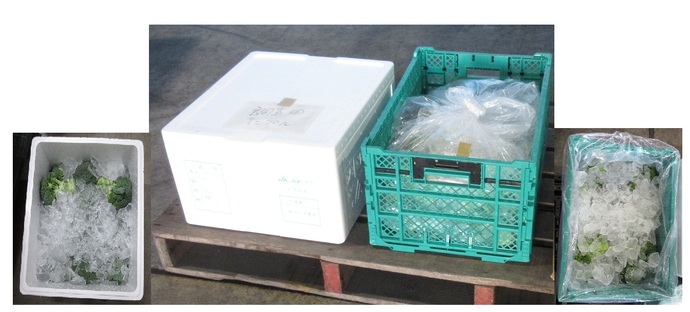 写真2容器（発泡スチロール箱、コンテナ）と氷詰めの様子