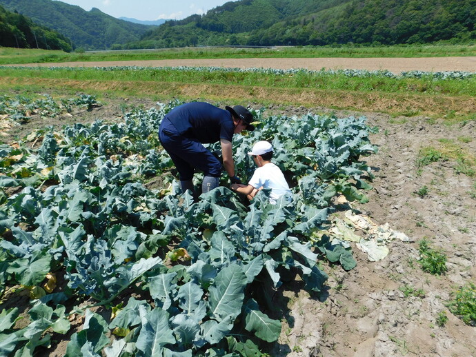 写真4小学校の栽培体験学習