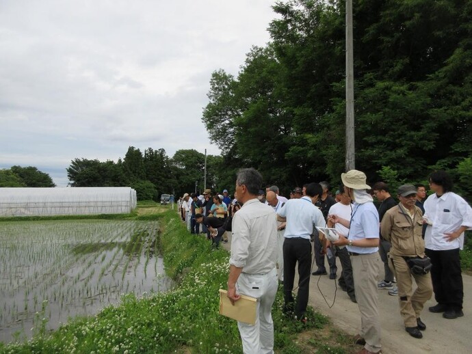 現地ほ場見学