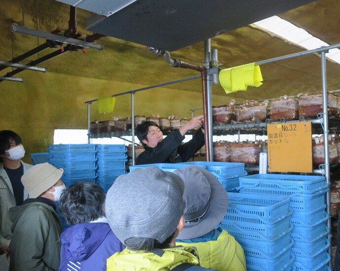 菌床しいたけの生産現場視察