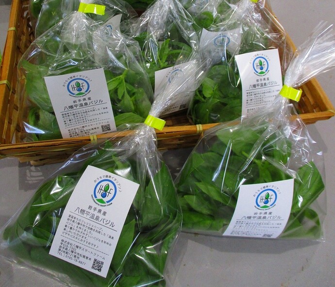 店頭ではフレッシュなバジルの販売も行っています。