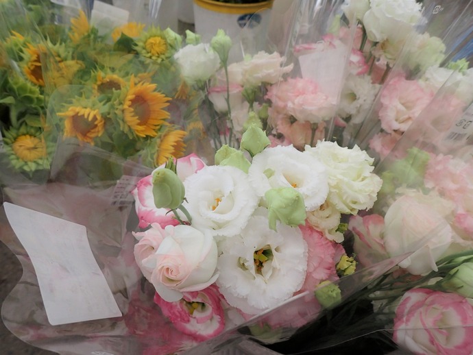 遠野自慢のトルコギキョウ