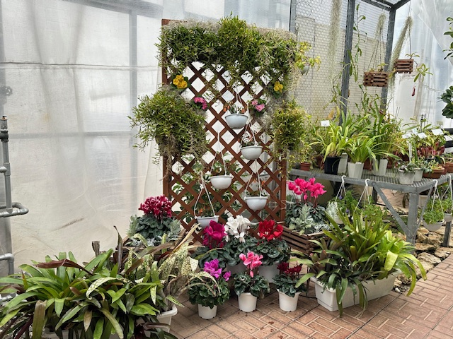 フォトスポット