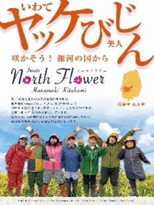 06_northflower