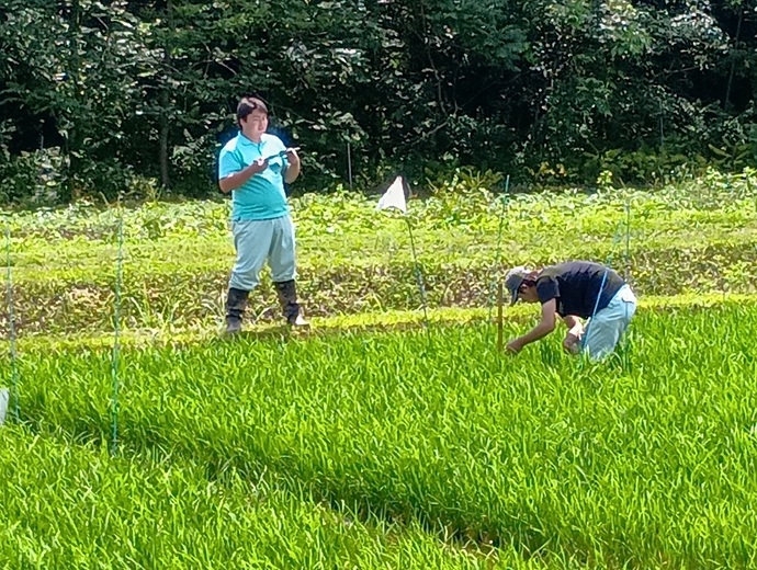 生育調査風景