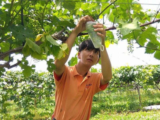 kaju080603