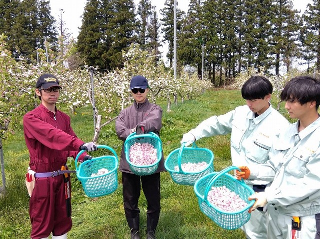 kaju080405