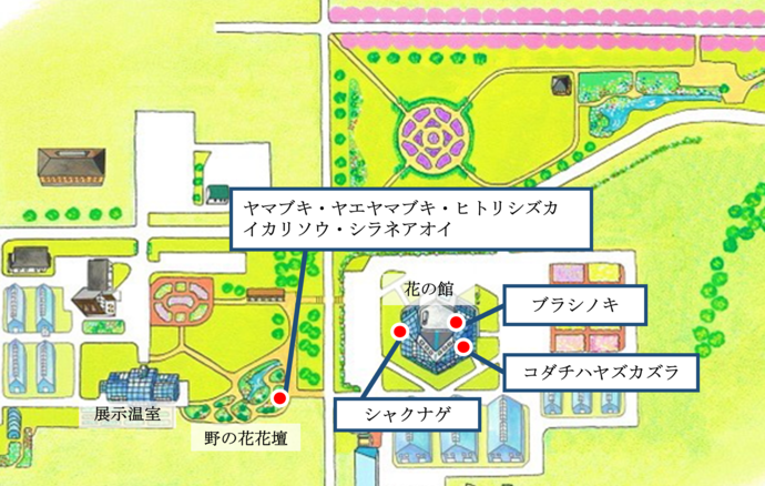 マップ