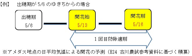 zu02