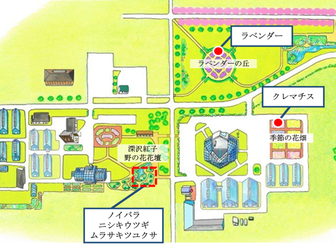 マップ