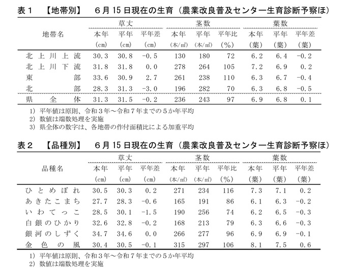 令和8年6月15日現在の水稲の生育