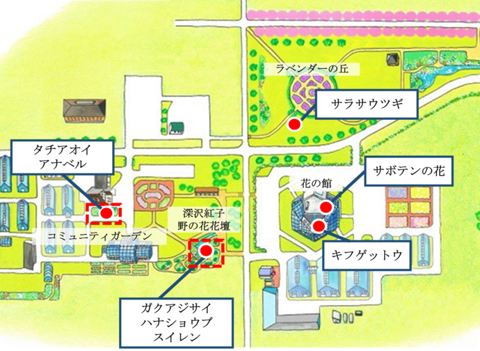マップ