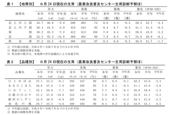 令和8年6月24日現在の水稲の生育