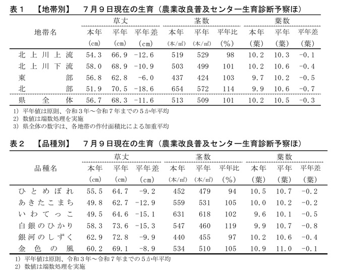令和8年7月9日現在の水稲の生育