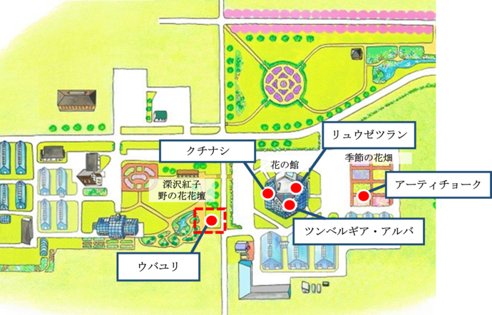 マップ
