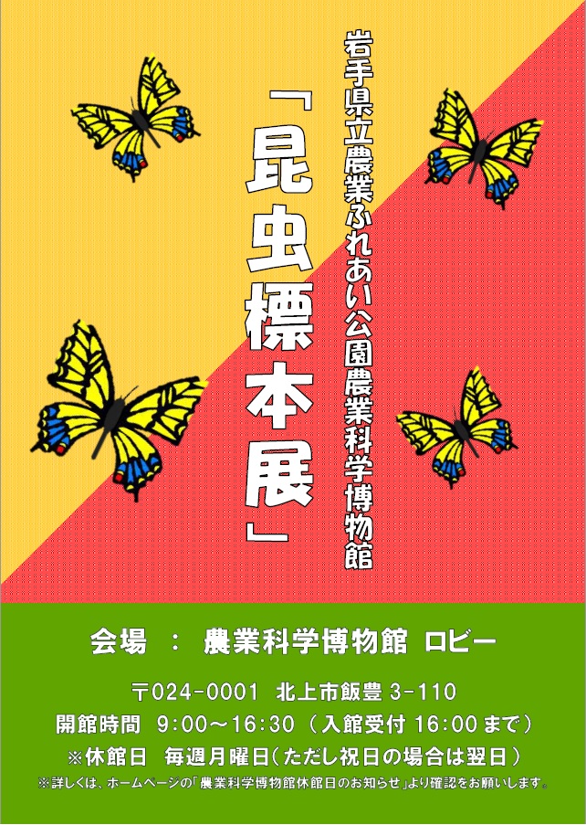 昆虫標本展チラシ