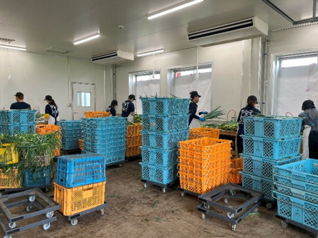 調製所で出荷用に調製します。