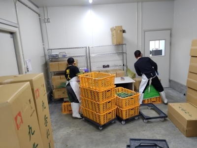 出荷用段ボールに箱詰めします。