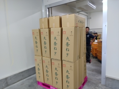 出荷体制が整った状況です。