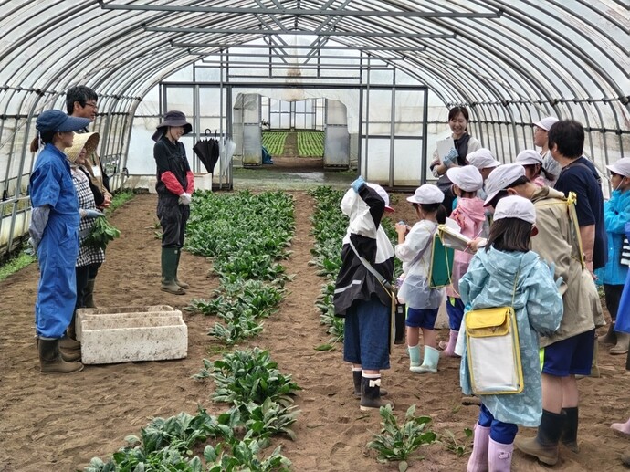 ほうれんそう栽培について学習する様子 