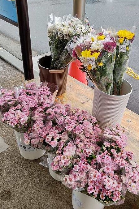 店頭を彩る花々の写真