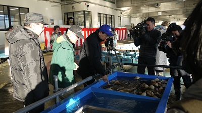 久慈市魚市場視察の写真