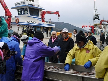 大船渡魚市場視察の写真