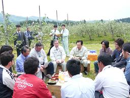 リンゴの花摘みと岩手県果樹協会青年部との意見交換の写真