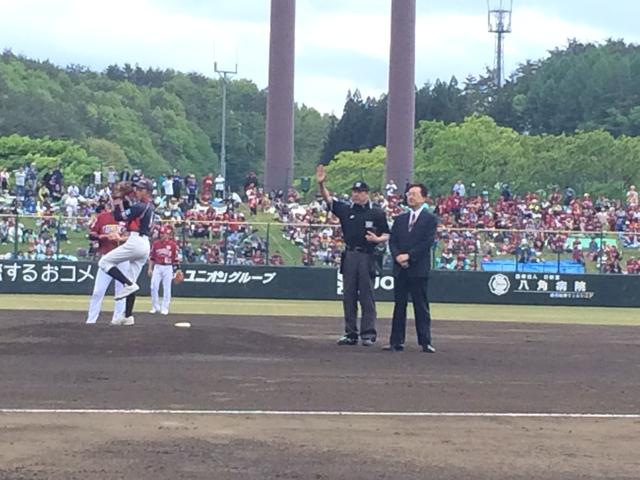 プロ野球楽天の写真