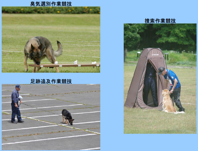 画像：協議内容