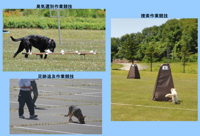 写真:競技内容